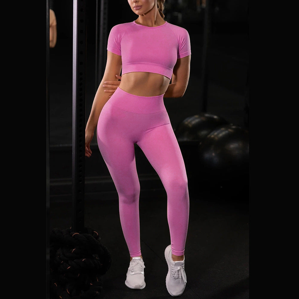 Seamless Yoga Sport Set Fitness Women Running Leggings Short Sleeve