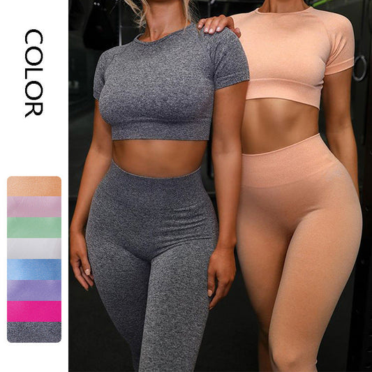 Seamless Yoga Sport Set Fitness Women Running Leggings Short Sleeve